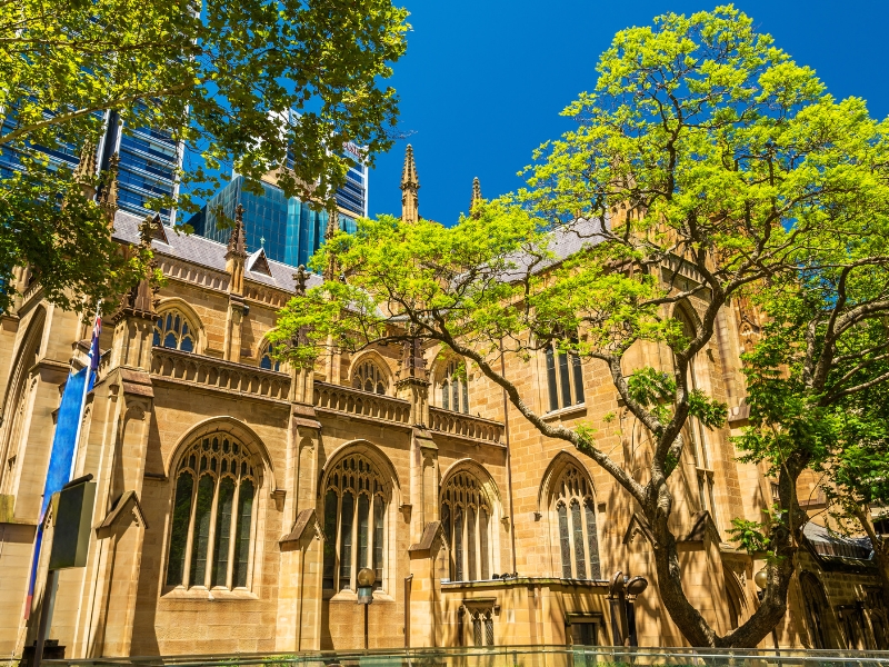 Scuola della Cattedrale di Sant'Andrea: Una delle principali istituzioni educative di Sydney 1 Cattedrale di Sant'Andrea a Sydney