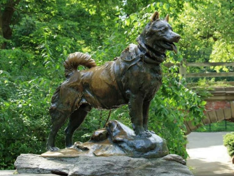 Balto Statue in New York Central Park