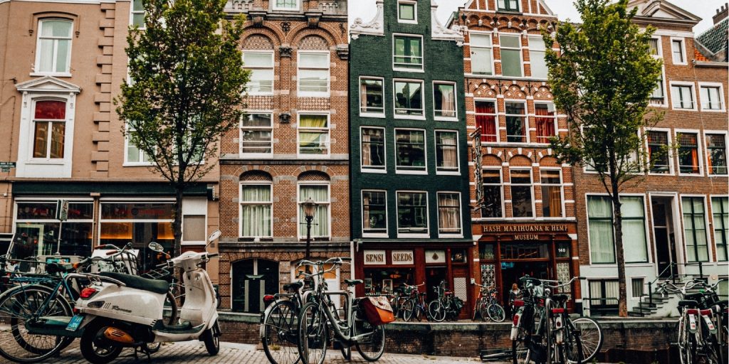 Zajęcia integracyjne w Amsterdamie 4 Zajęcia integracyjne w Amsterdamie