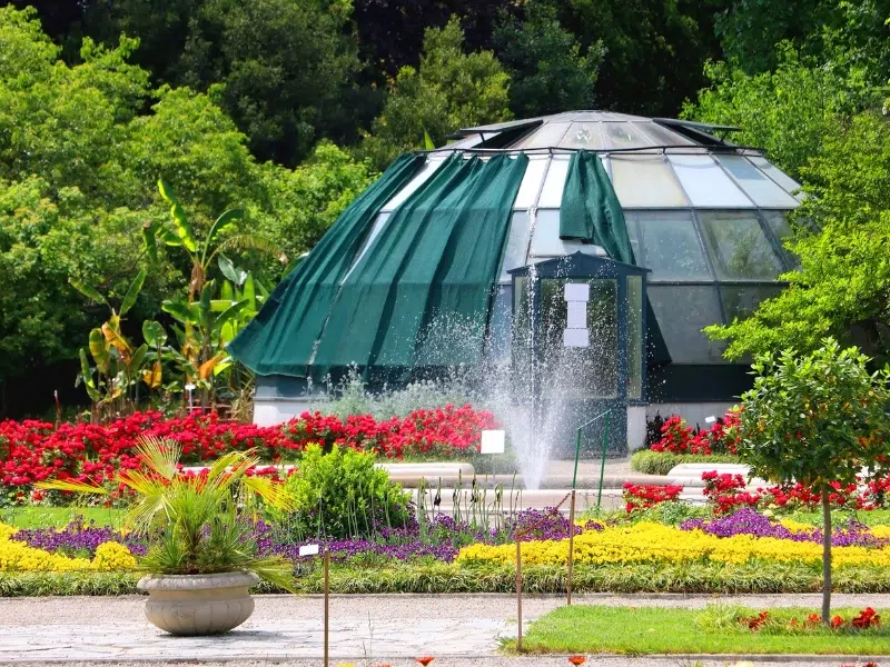 Discover the Botanical Garden at University of Zagreb