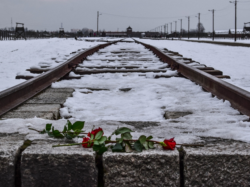 Museo dell'Olocausto e dei Diritti Umani di Dallas: Un potente tributo alla storia e alla resilienza 2 Olocausto di Dallas