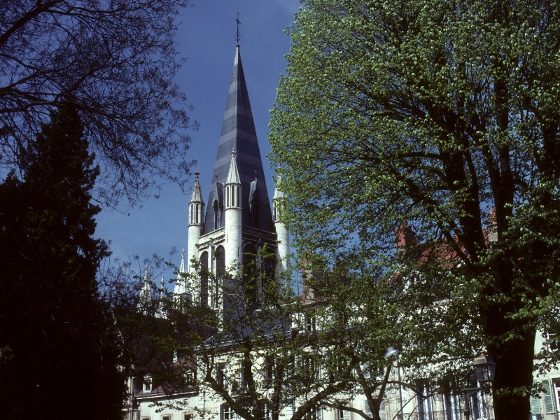 La place des Ducs : Le cœur battant du centre historique de Dijon 3 Place des Ducs à Dijon