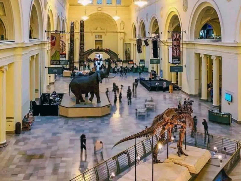 Musée Field à Chicago
