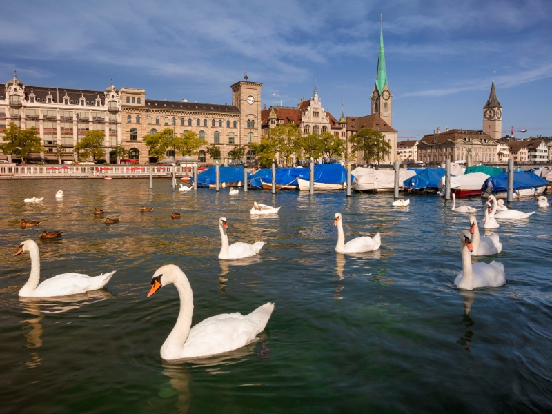 Der Zürichsee: Zürichs Schönheit und Ruhe widerspiegeln 2 Zürichsee