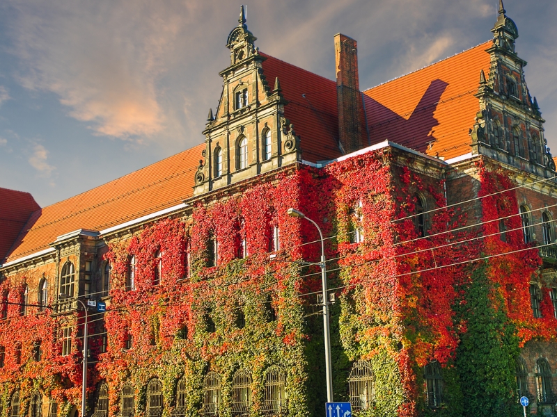 Museo Nacional de Wrocław: Un tesoro de arte, historia y legado cultural 1 Museo Nacional de Wrocław