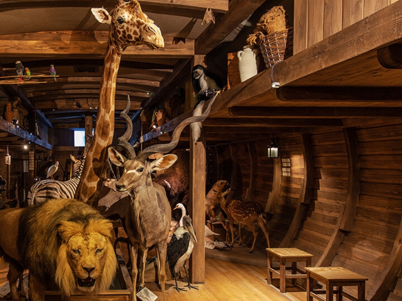 Naturkundemuseum Erfurt: 1 Naturkundemuseum στην Ερφούρτη