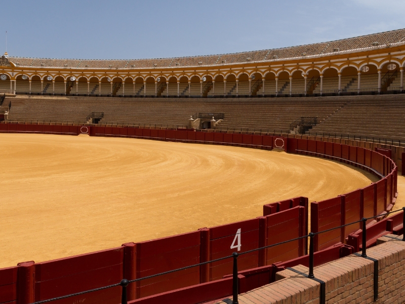 Plaça de Bous: Valencia’s Iconic Bullring and Cultural Landmark 2 Placa de Bous in Valencia