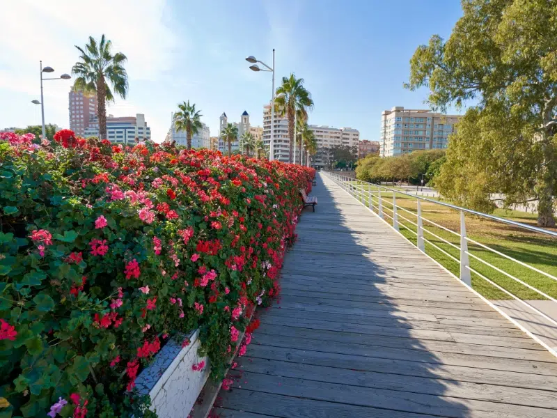 Pont de les Flors à Valence