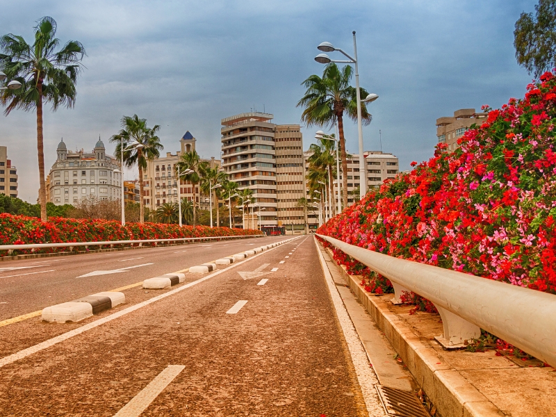 Pont de les Flors: Βαλένθια 3 Pont de les Flors στη Βαλένθια