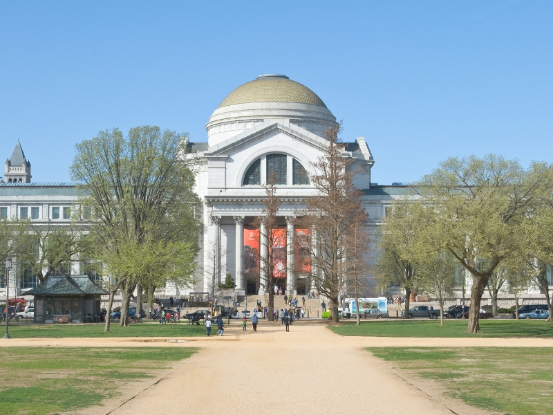 Museo nazionale di storia naturale dello Smithsonian: Cronaca delle meraviglie della Terra 3 Museo di Storia Naturale di Washington