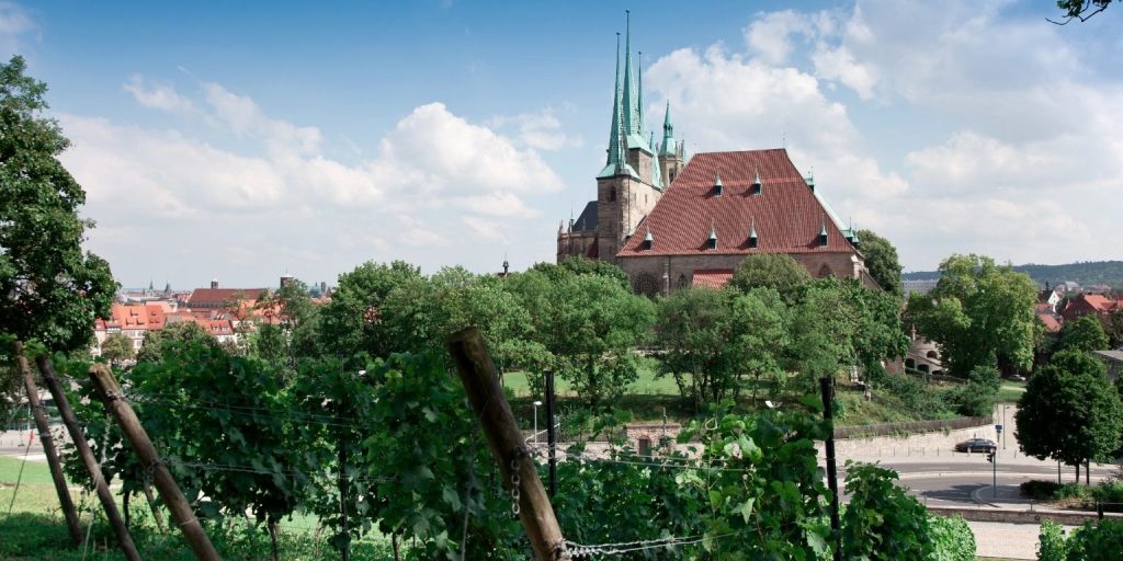 Zajęcia integracyjne w Erfurcie 5 Zajęcia z budowania zespołu w Erfurcie