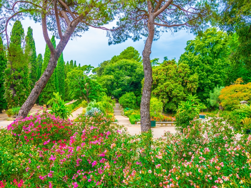 Jardin des Plantes à Montpellier