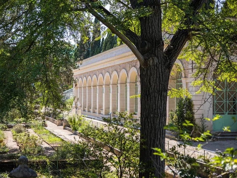 Jardin des Plantes: Montpellier 1 Jardin des Plantes στο Μονπελιέ
