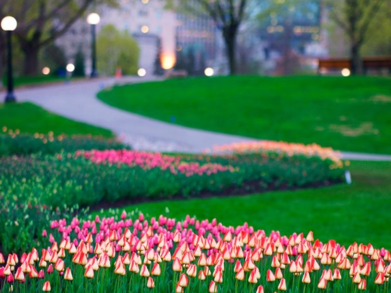 Major's Hill Park in Ottawa