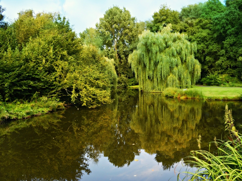 Parco Ducale Estense: Zielone serce w Modenie 3 Parco Ducale Estense w Modenie