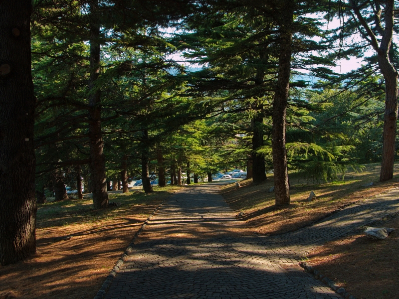 Parco della Rimembranza: Τεργέστη 2 Parco della Rimembranza στην Τεργέστη