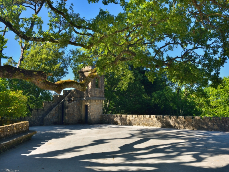 Park Liberdade: A Green Sanctuary in Sintra's Embrace 1 Park Liberdade in Sintra