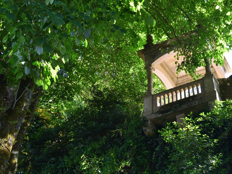 Park Liberdade: A Green Sanctuary in Sintra's Embrace 3 Park Liberdade in Sintra