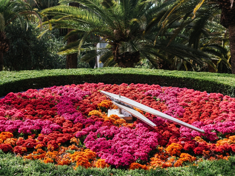Parque García Sanabria: Eine botanische und kulturelle Oase im Herzen von Teneriffa 3 Parque García Sanabria auf Teneriffa