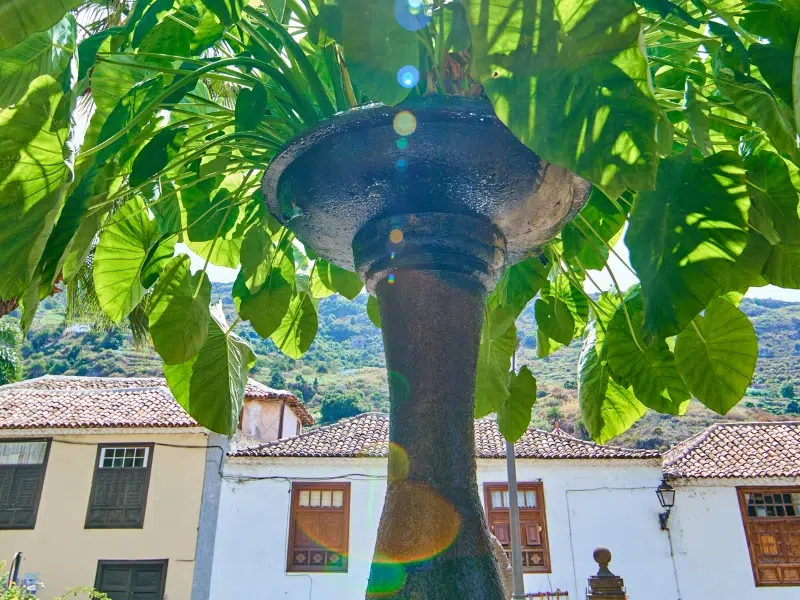 Plaza del Príncipe de Asturias: Uma joia no coração de Tenerife 2 Plaza del Príncipe em Tenerife