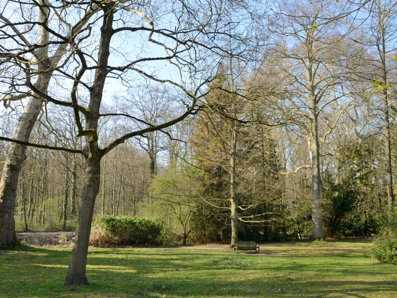 Parco Sint-Donatus: Un'oasi verde nel cuore di Lovanio 3 Parco Sint-Donatus a Lovanio