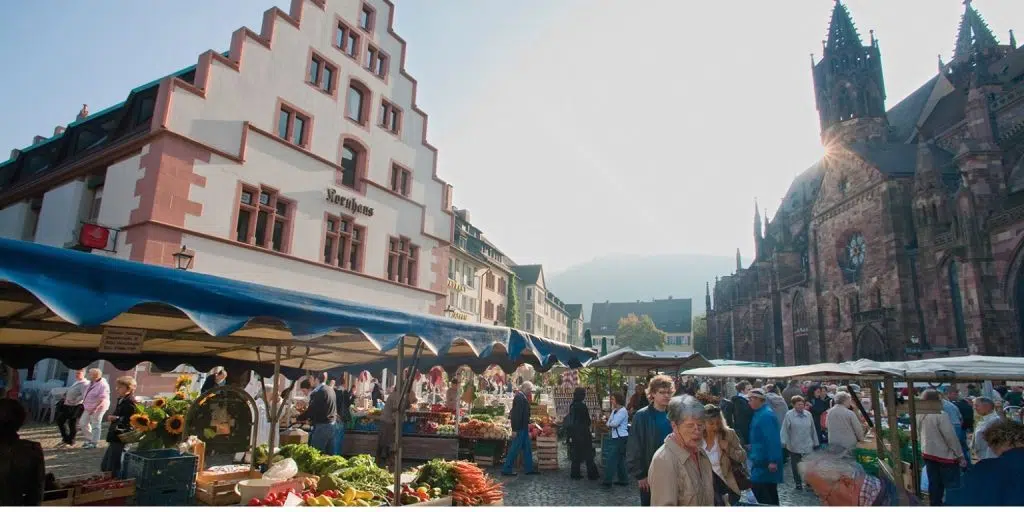 Münsterplatz à Fribourg : Le cœur vibrant d'une ville historique 2 Münsterplatz à Fribourg