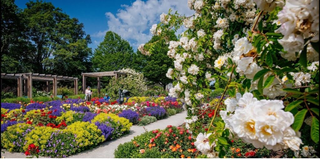 Egapark in Erfurt: A Blooming Paradise and Horticultural Gem 2 Egapark in Erfurt
