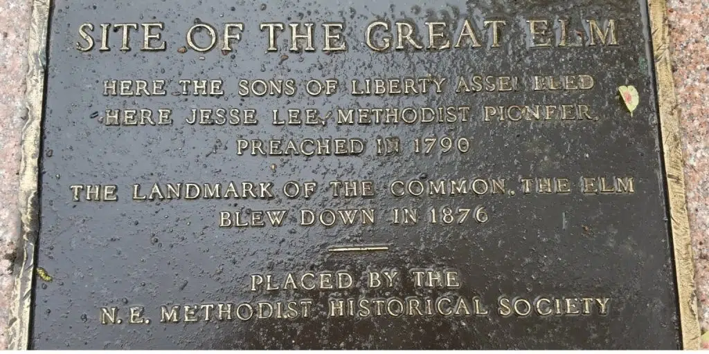 O Grande Olmo em Boston: Uma testemunha silenciosa da história 1 O Grande Olmo em Boston