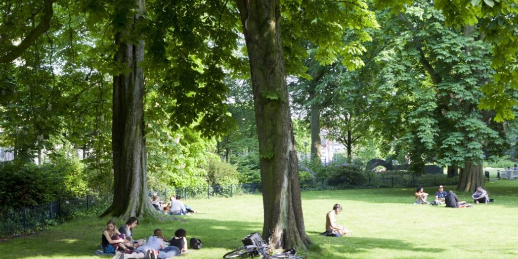 The Palace Garden: A Royal Oasis for All in The Hague 2 The Palace Garden
