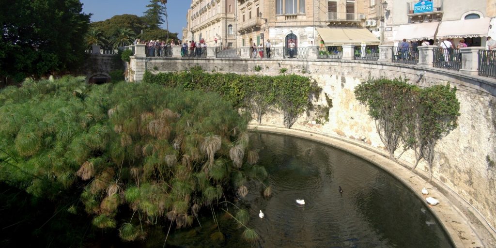 Fuente Aretusa: Donde confluyen mito y realidad en Siracusa 2 Fuente Aretusa