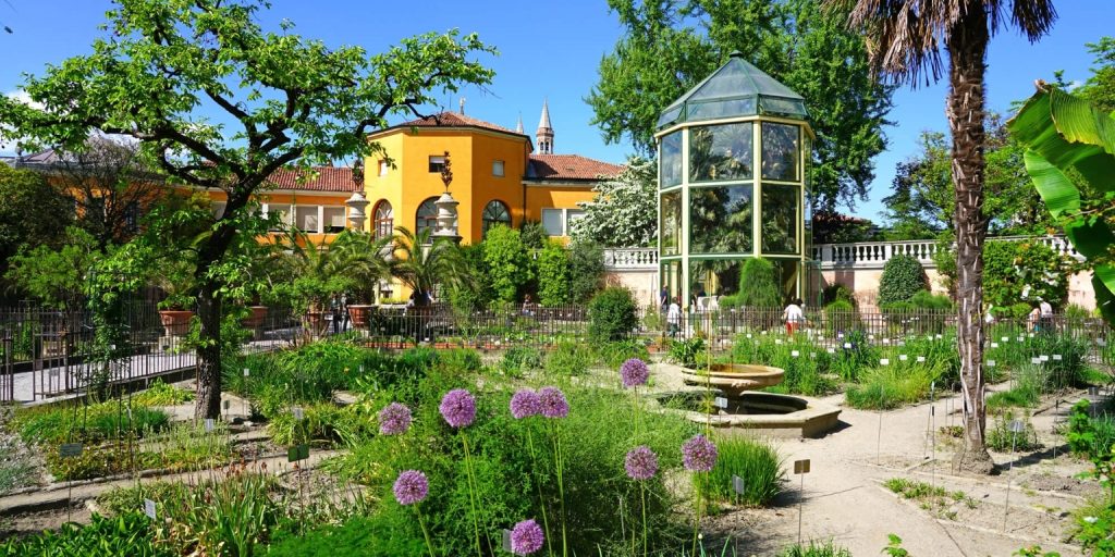 O Jardim Botânico de Pádua: Um legado vivo de ciência e cultura 2 Jardim Botânico de Pádua