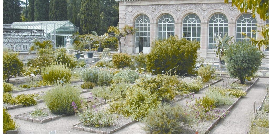 Onthulling van de Jardin des Plantes in Montpellier: De oudste botanische schat van Frankrijk 1 Jardin des Plantes in Montpellier