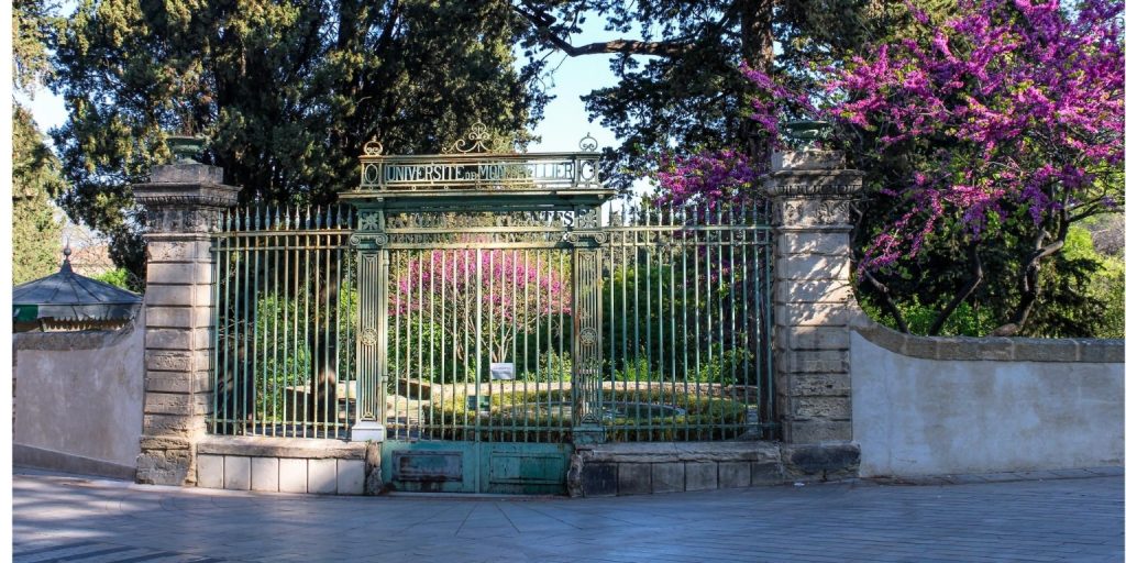 Onthulling van de Jardin des Plantes in Montpellier: De oudste botanische schat van Frankrijk 2 Jardin des Plantes in Montpellier