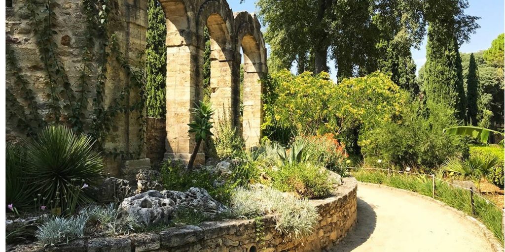 Onthulling van de Jardin des Plantes in Montpellier: De oudste botanische schat van Frankrijk 3 Jardin des Plantes in Montpellier