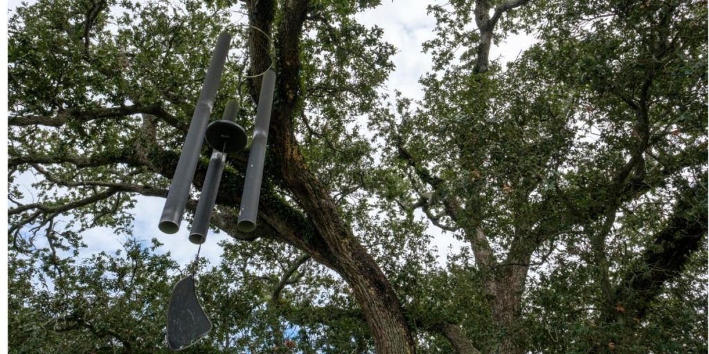 El roble cantor de Nueva Orleans: El encuentro de la naturaleza y la música 3 Roble cantor en Nueva Orleans