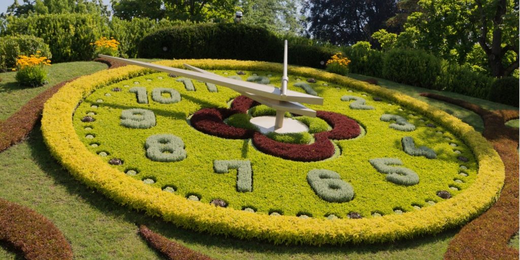 Bloemenklok: Een symbool van Zwitserse precisie 2 Bloemenklok: Een symbool van Zwitserse precisie