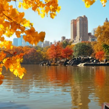 New York (en anglais)