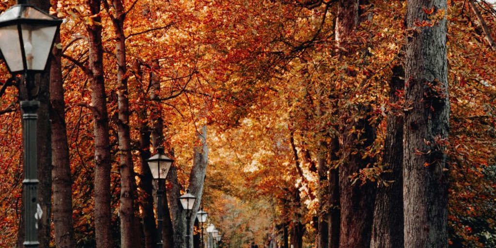 Fun Facts About Graz: The Stories Behind Austria's Second City 2 fun facts about Graz: Graz Stadt Park