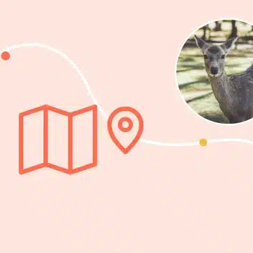 Guide di Nara di World City Trail
